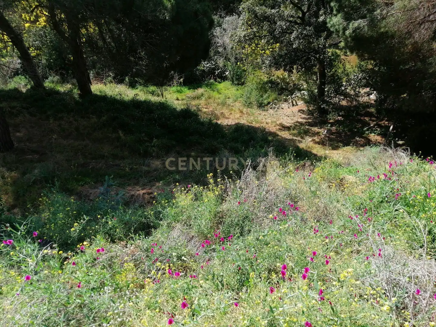 Residencial en venta en Argentona