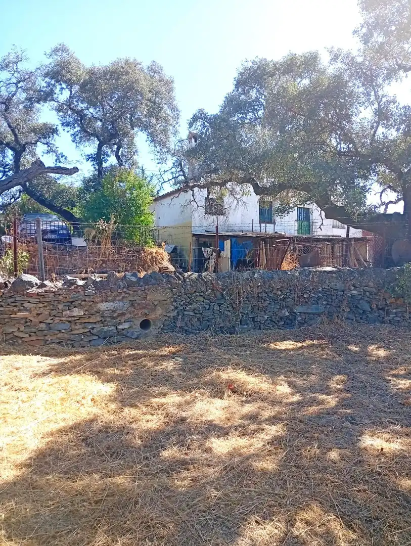 Vista exterior de Finca rústica en venda en Higuera de la Sierra