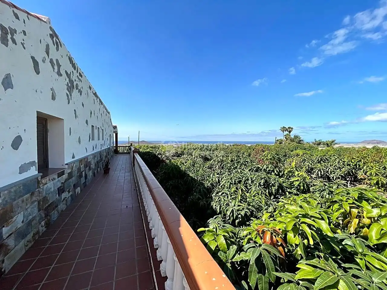 Vista exterior de Casa o chalet en venta en Arona con Jardín privado, Terraza y Piscina