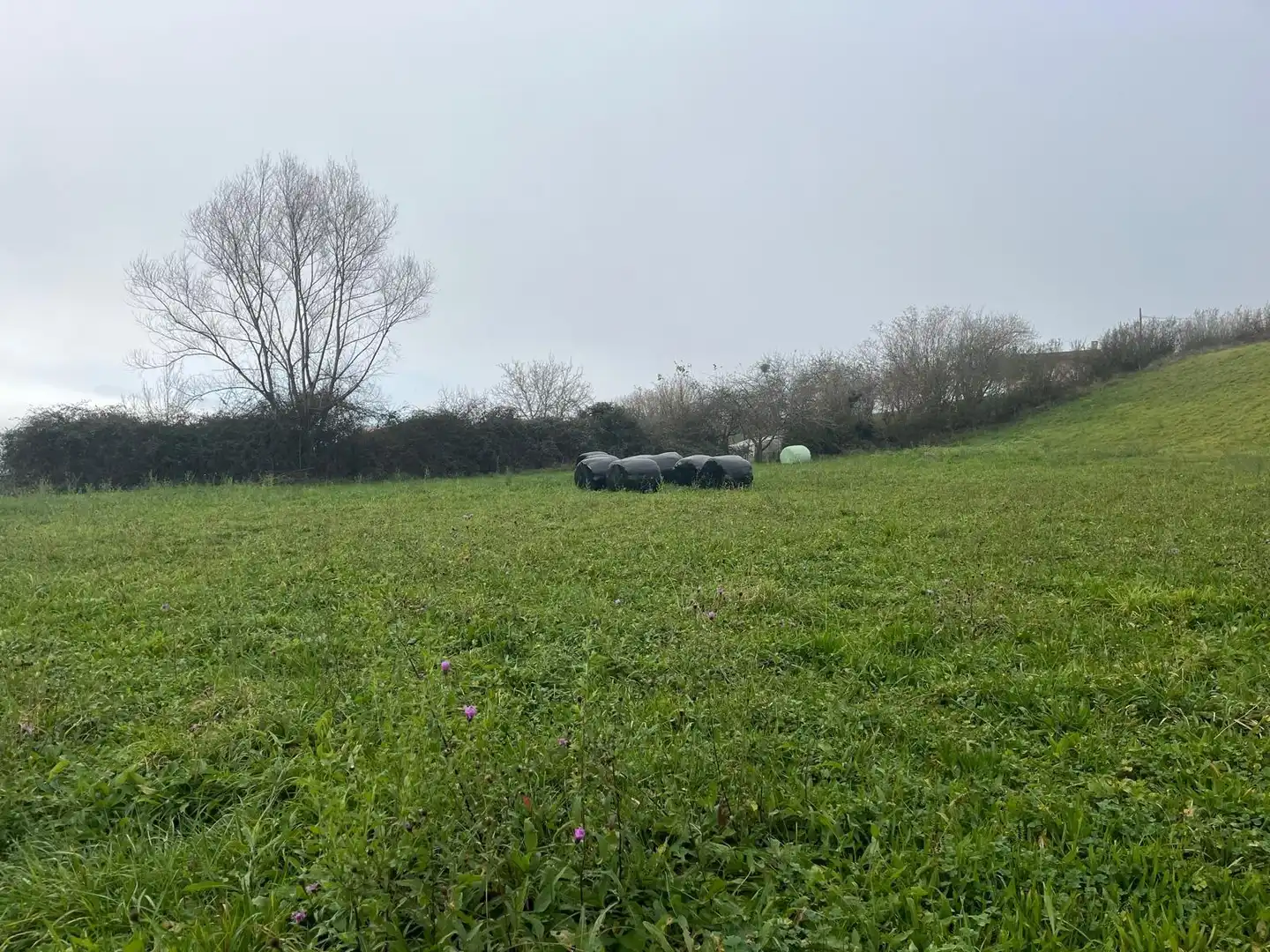 Residential land for sale in Polígono 11 Parcela 301 MATA LA FAME. LANGREO (AS 11, imagen 9