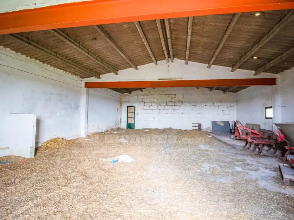 Casa en venta en Sant Climent - Es Canutells, imagen 34