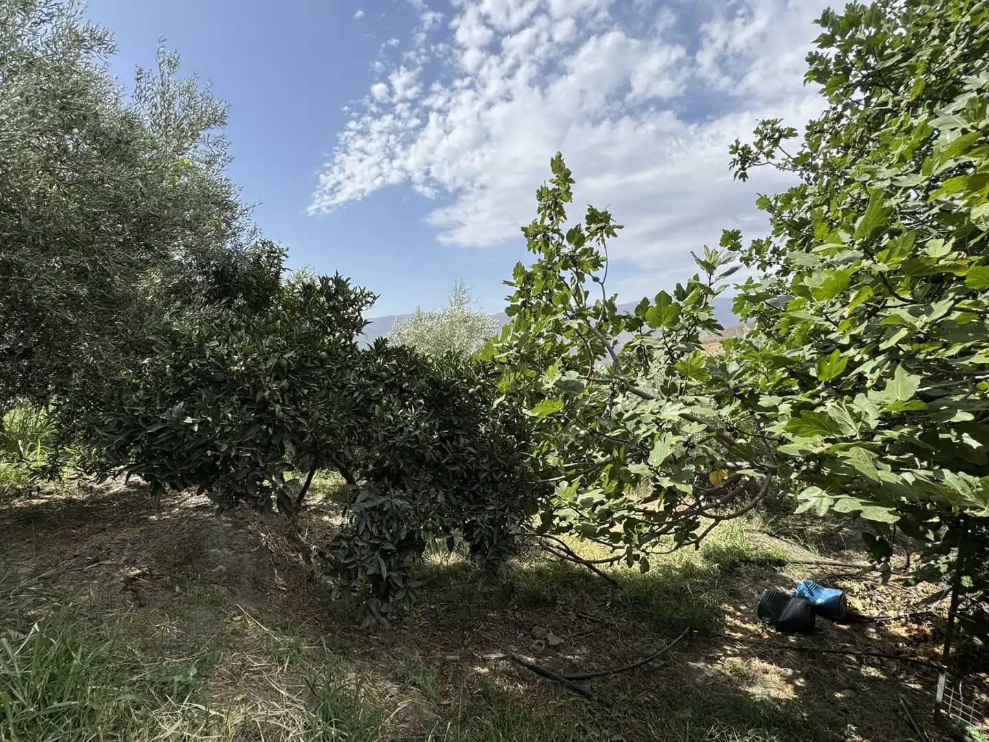 Terreny en venda en Ohanes