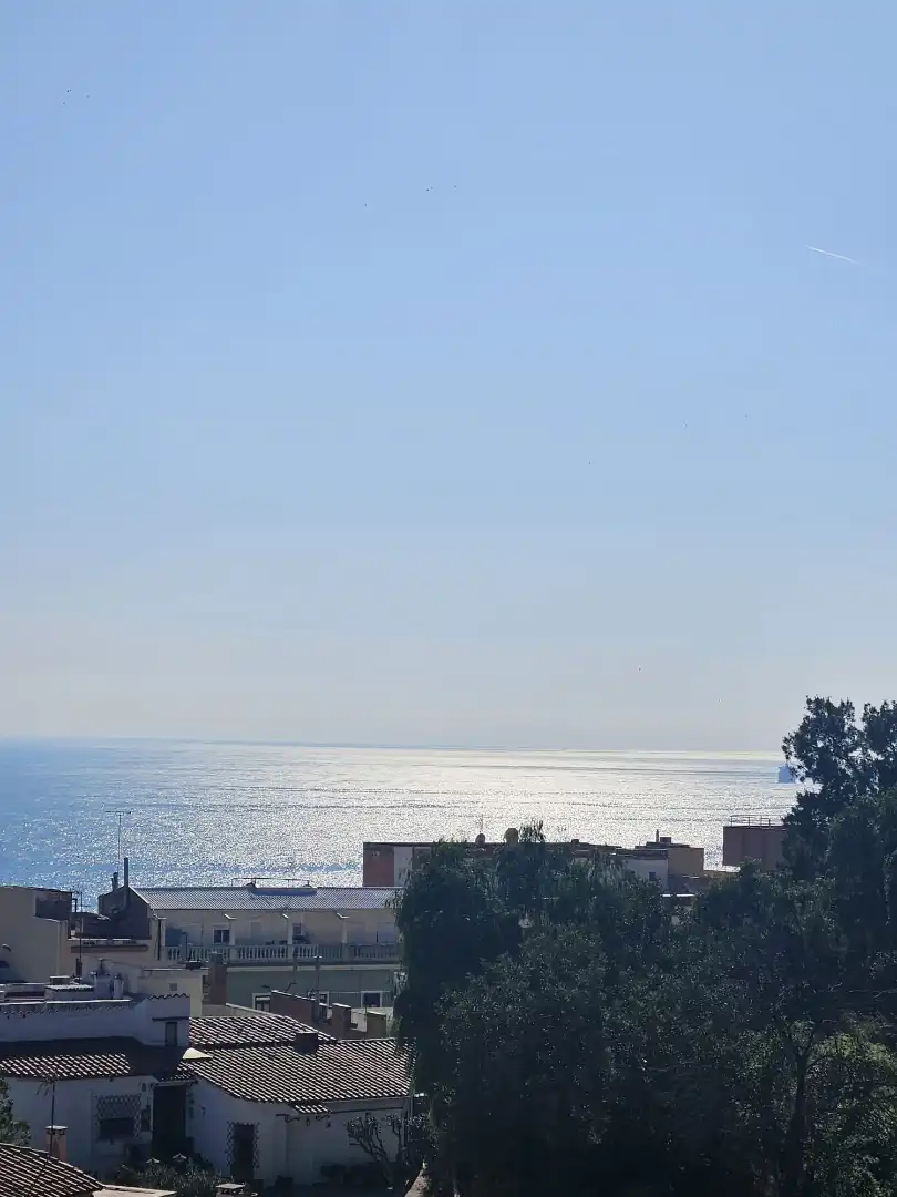 Edificio en venta en Carrer del Llorer, Part Alta