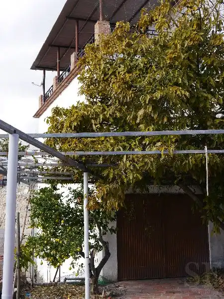 Adossat en venda a Canillas de Aceituno, imagen 10