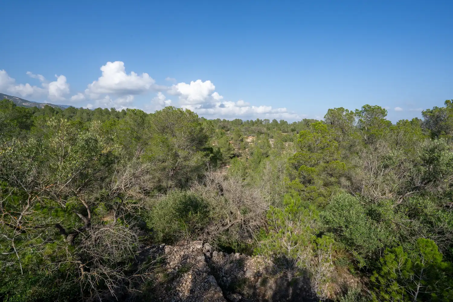 Terrain rustique à vendre à C-12 30, imagen 11