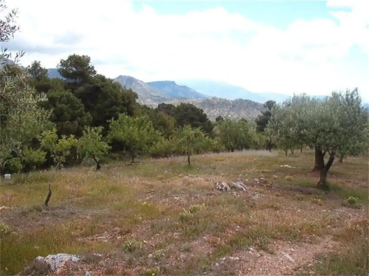 Terreno en venta en Los Guájares