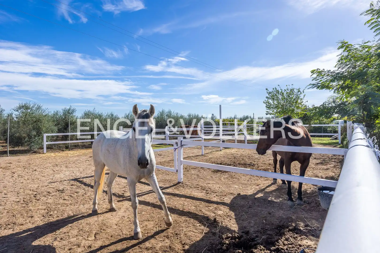Maison avec jardin à vendre à Bollullos de la Mitación, imagen 19