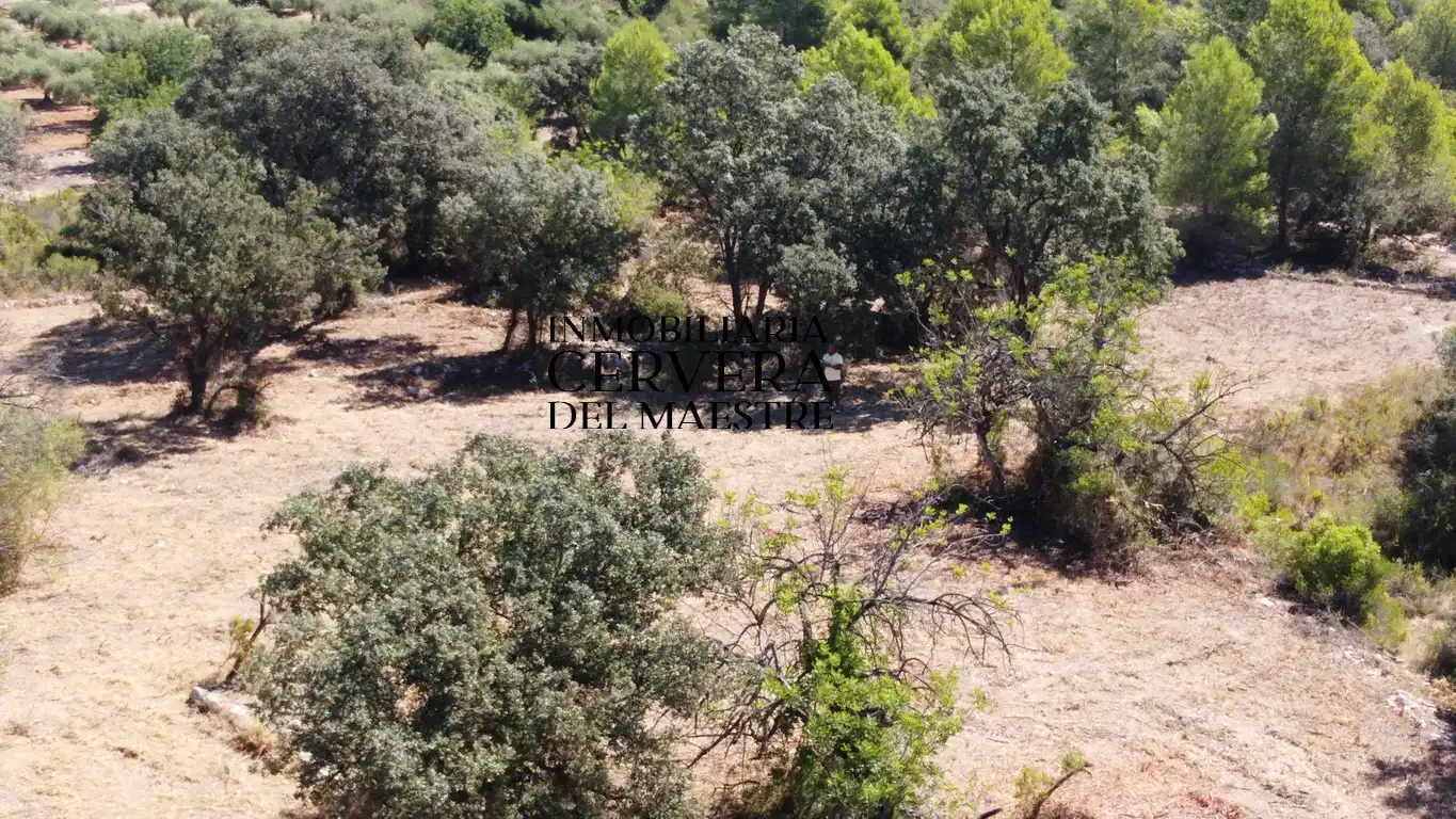 Terreno rustico in vendita a Cervera del Maestre, imagen 9