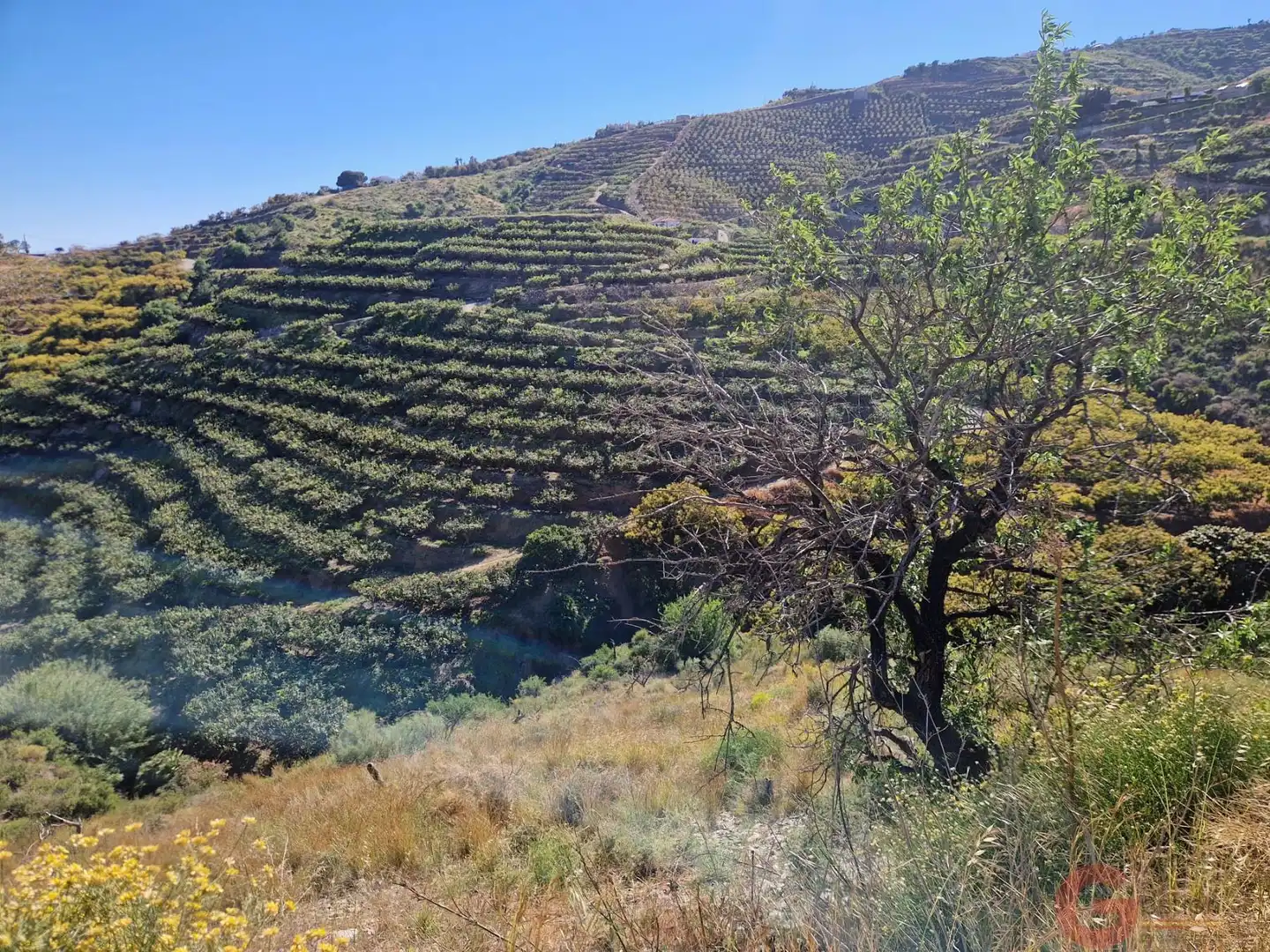 Terrenys i solars en venda a Monte los Almendros - El Pargo - Costa Aguilera, imagen 8