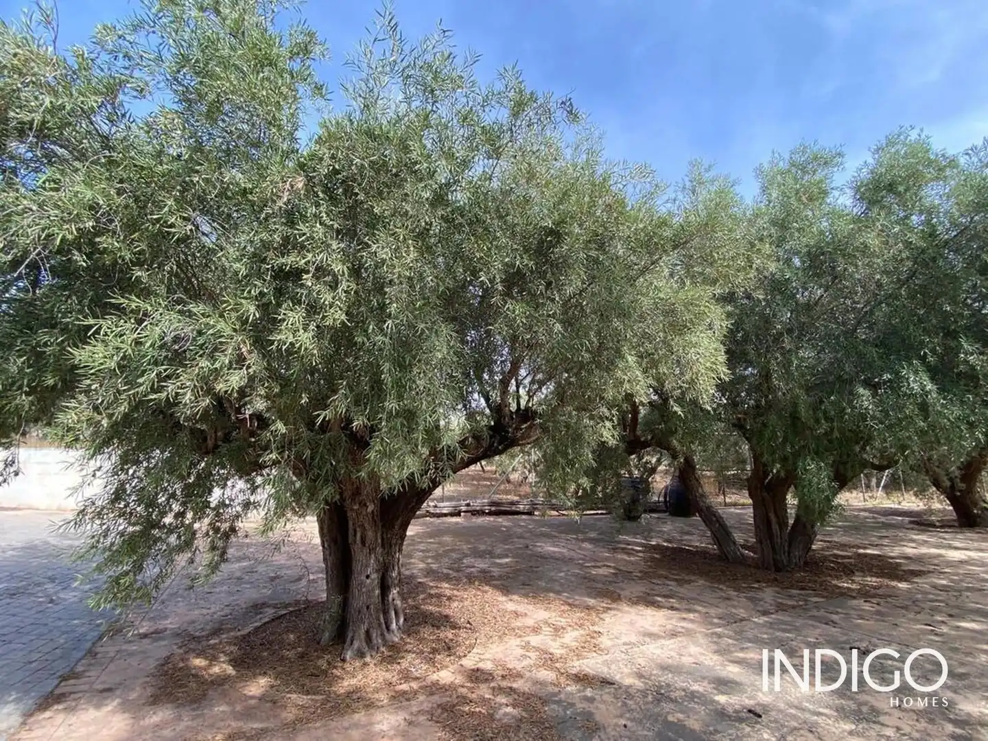 Casa o chalet en venta en Raspeig Polig, Villamontes - Boqueres