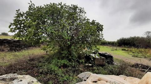 Photo 4 of Country house for sale in Botija, Cáceres