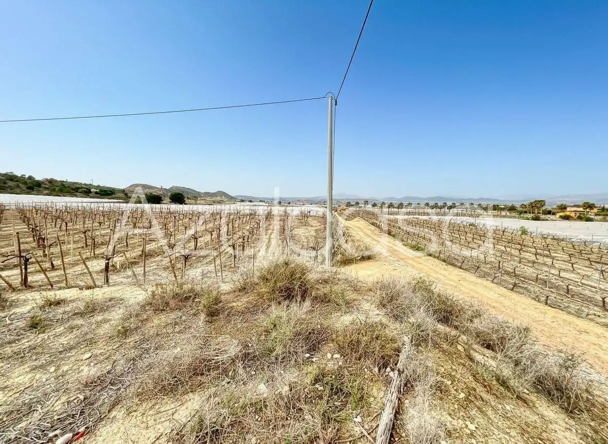 Terreny en venda en Monforte del Cid