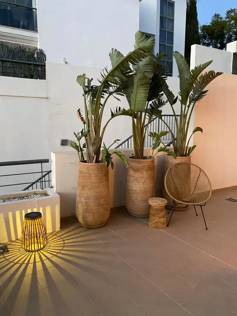 Apartment mit Pool zur Miete in FLAMINGOS 106, imagen 11