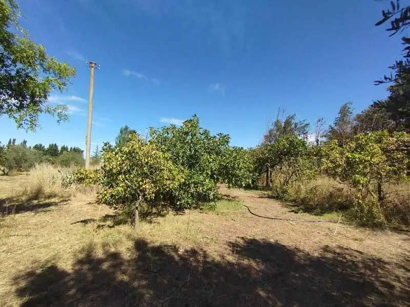 Casa rústica en venda a Camino Perdiguera, imagen 16
