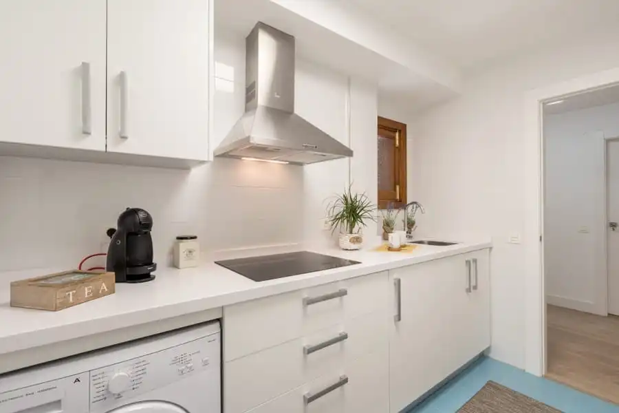 Kitchen of Apartments for rent in Centro