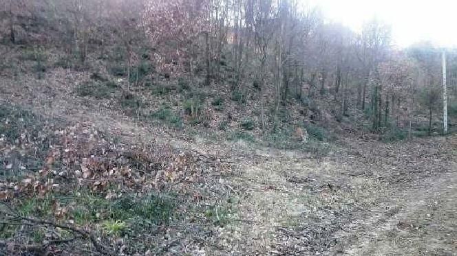 Residential for sale in Riells i Viabrea