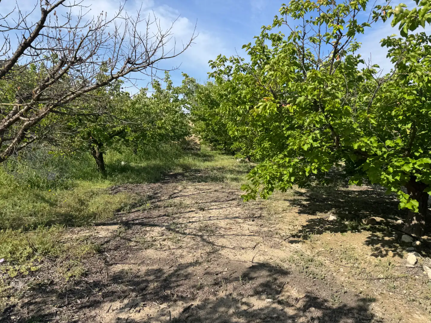 Terreno rustico in vendita a Calle 7.Canara 76, imagen 17