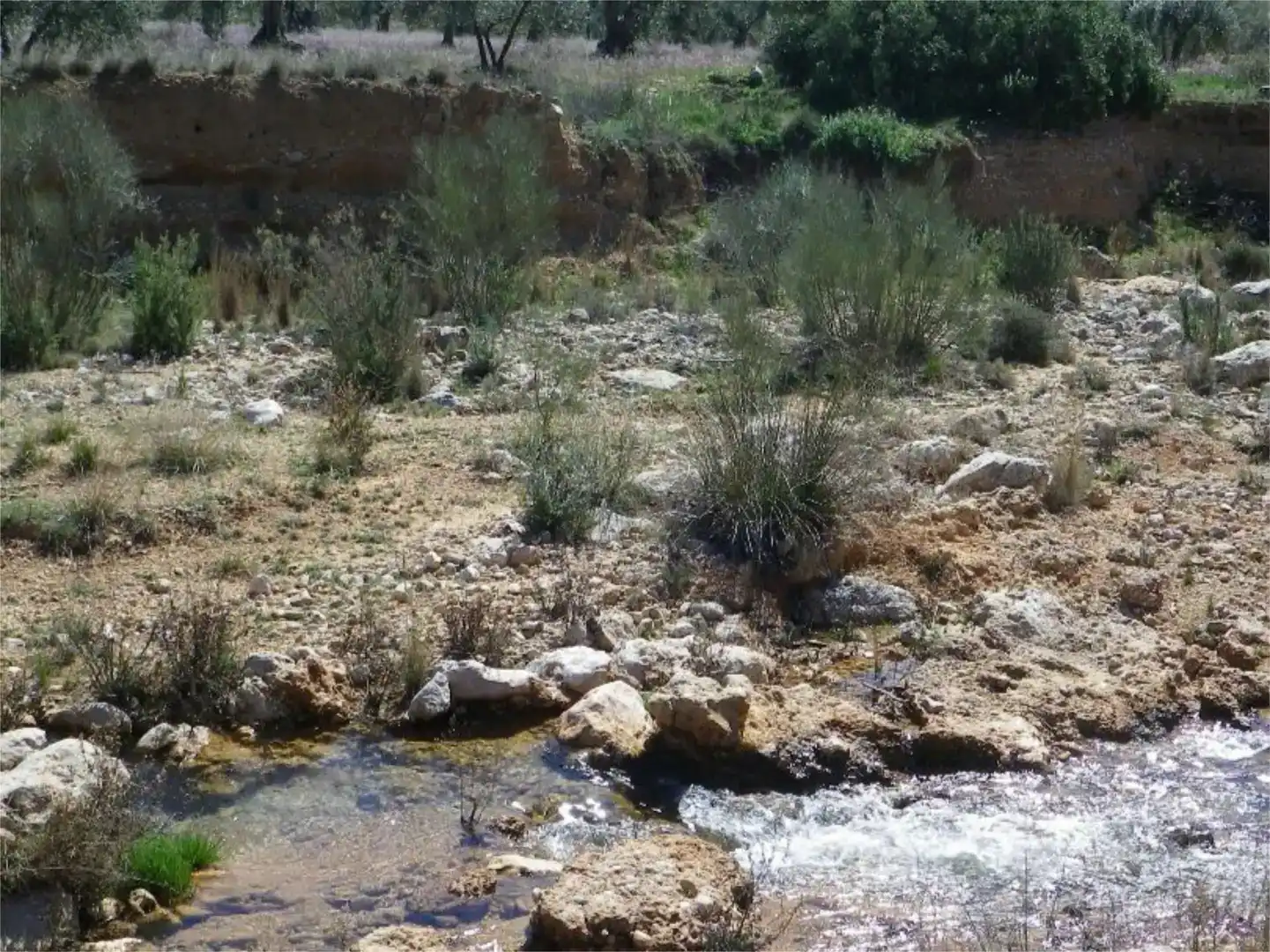 Terreno en venta en Liétor