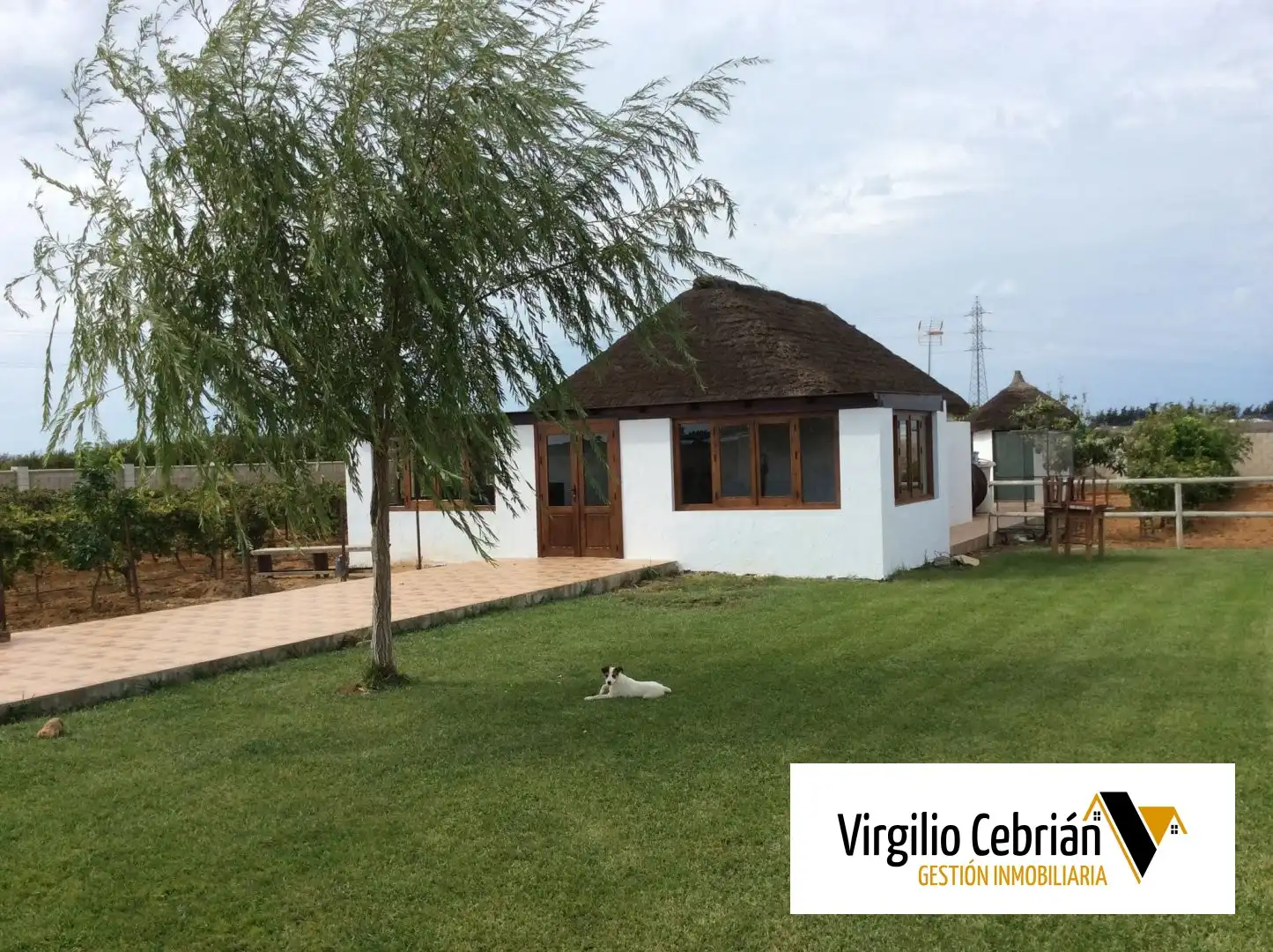 Finca rústica en venda en Chipiona amb Jardí privat