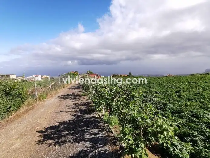 Terreno rustico in vendita a La Perdoma - San Antonio - Benijos, imagen 5