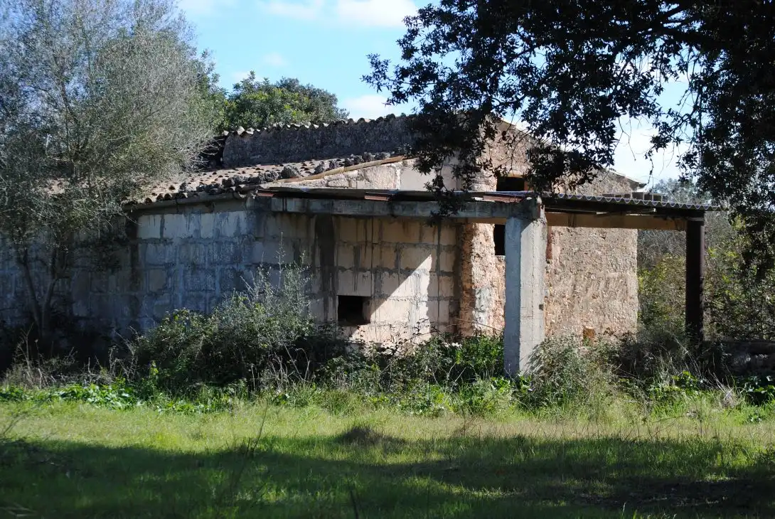 Terreno rustico in vendita a Diseminado Diseminados Var 248, imagen 9