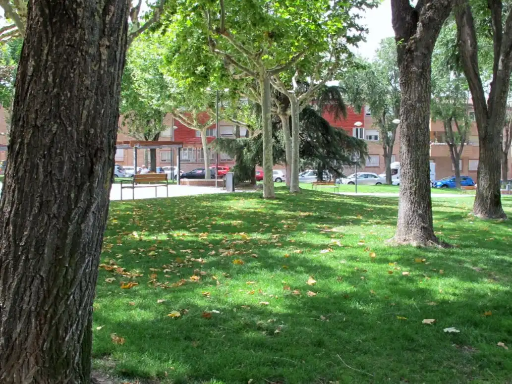 Vista exterior de Oficina de alquiler en Majadahonda con Aire acondicionado, Calefacción y Amueblado