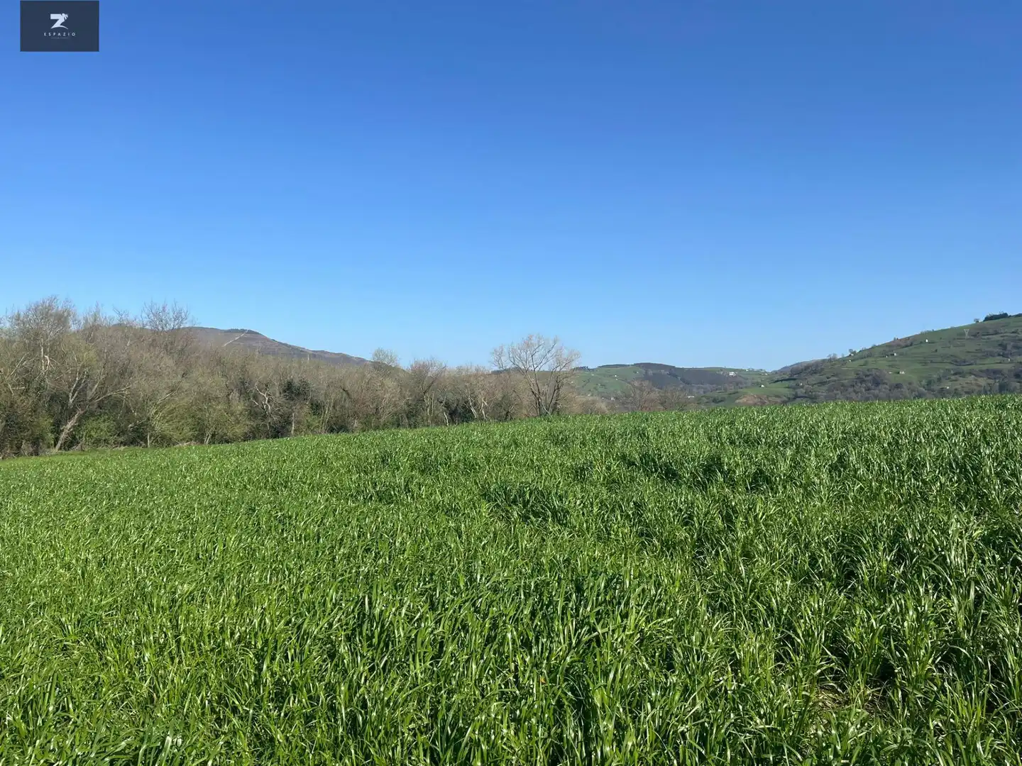 Casa o chalet en venta en Villacarriedo con Jardín privado