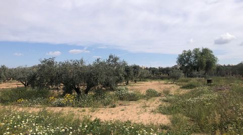 Terreno en venta en Campos Hellin Rusticos., immagine 4