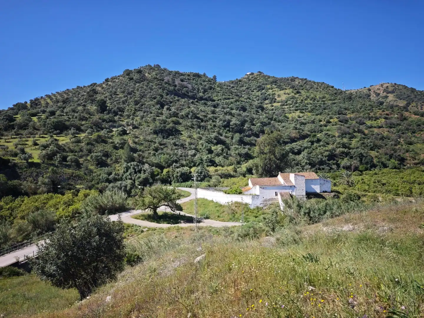 Vista exterior de Finca rústica en venda en Cártama