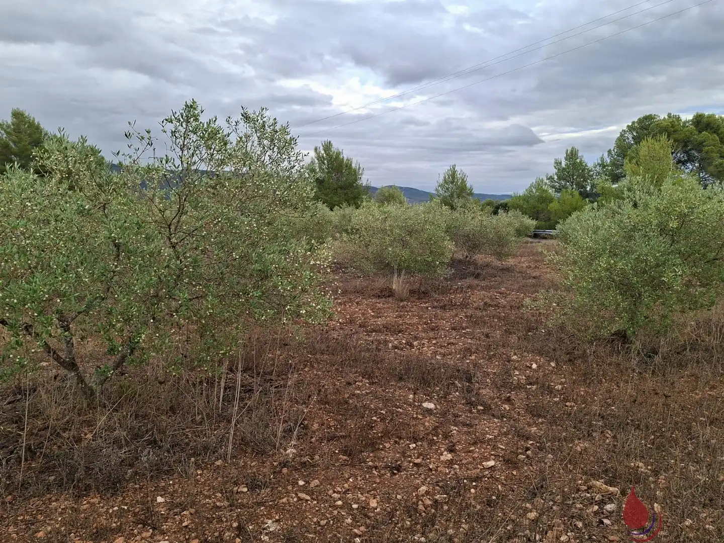 Residencial en venda en El Pont d'Armentera, Tarragona