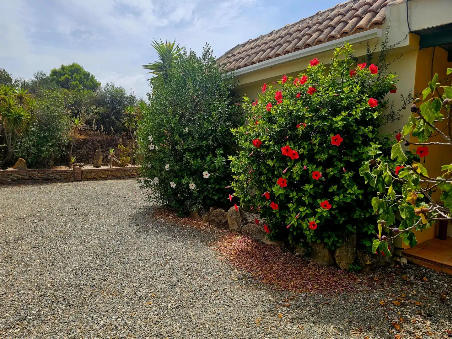 Detached house with pool for sale in Coín, imagen 6