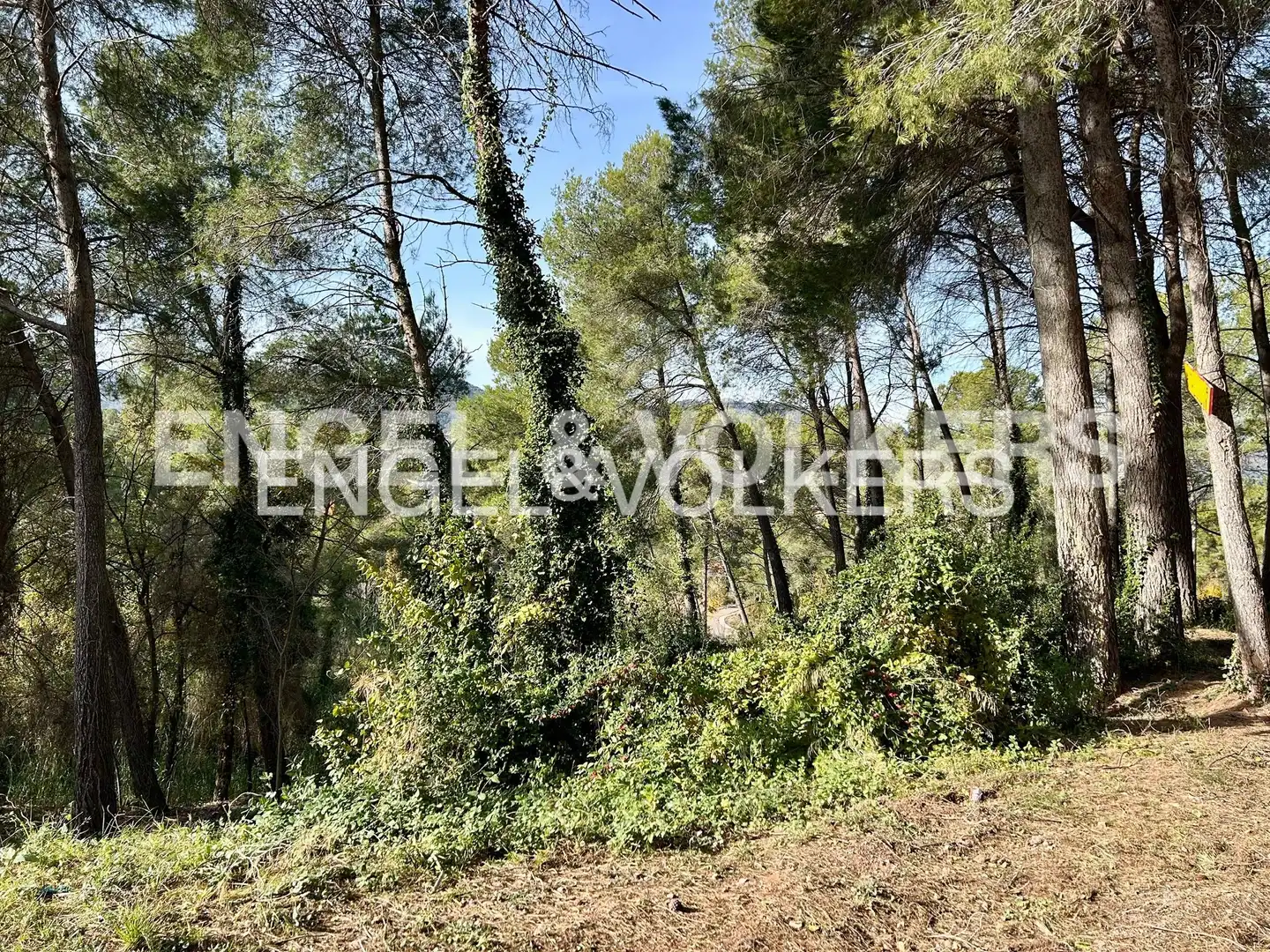 Terreny residencial en venda a Corbera de Llobregat, imagen 3