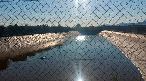 Foto 4 de Finca rústica en venta en Benferri, Alicante