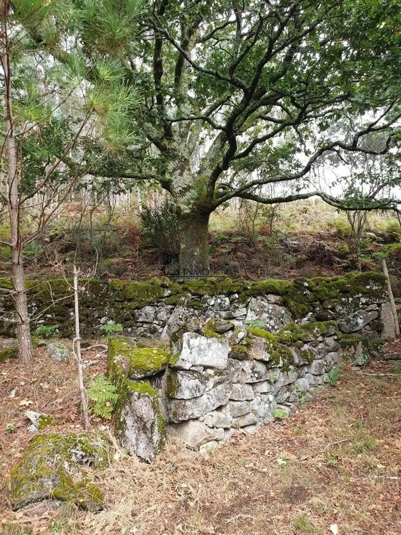 Vista exterior de Casa o chalet en venta en Campo Lameiro con Jardín privado
