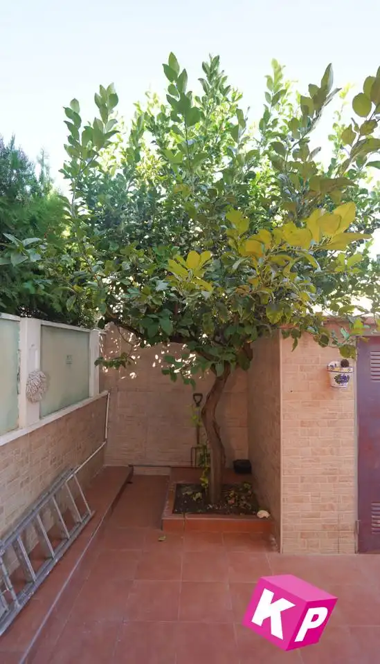 Bungalow en venda a Avenida Catalanet, imagen 45