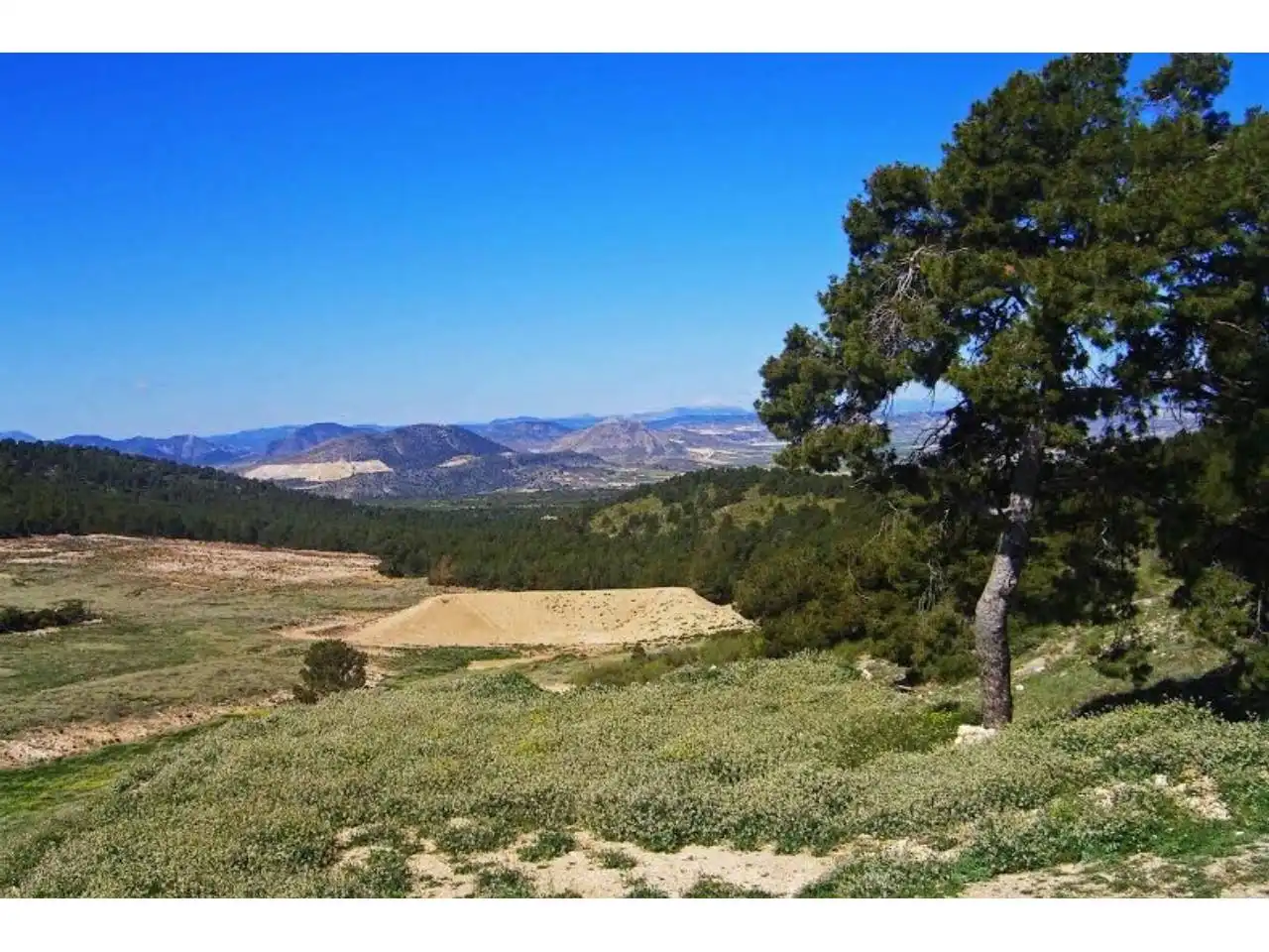 Terrains et parcelles à vendre à Pedanías Norte, imagen 7