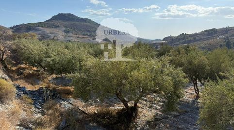 Foto 3 von Grundstücke zum Verkauf in Vélez de Benaudalla, Granada