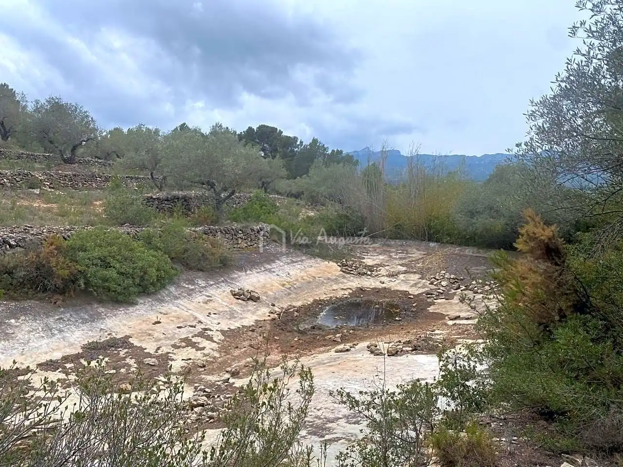 Terreno rustico in vendita a Burga, imagen 18