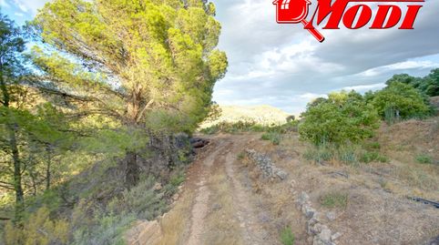 FINCA RÚSTICA DE MONTAÑA EN ÍZBOR  22.537 m CON EXCELENTES VISTASOportunidad de adquirir una amplia finca rústica de montaña en Íz, immagine 5
