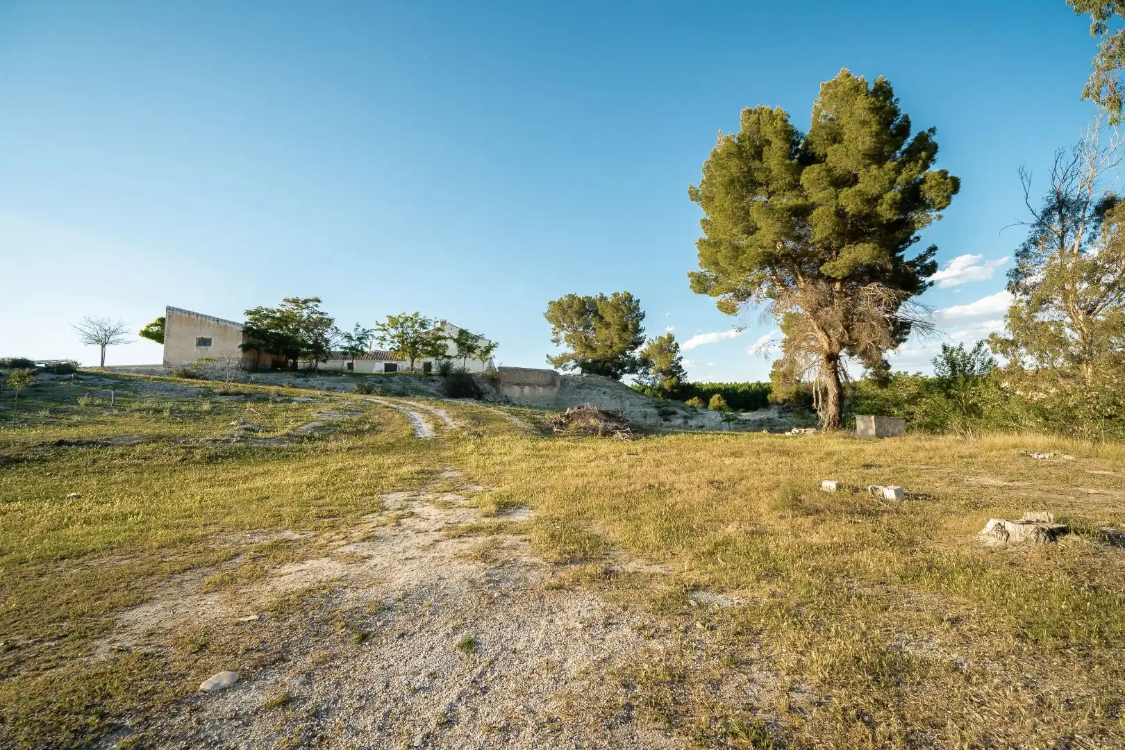 Terreno en venta en Cortes de Baza