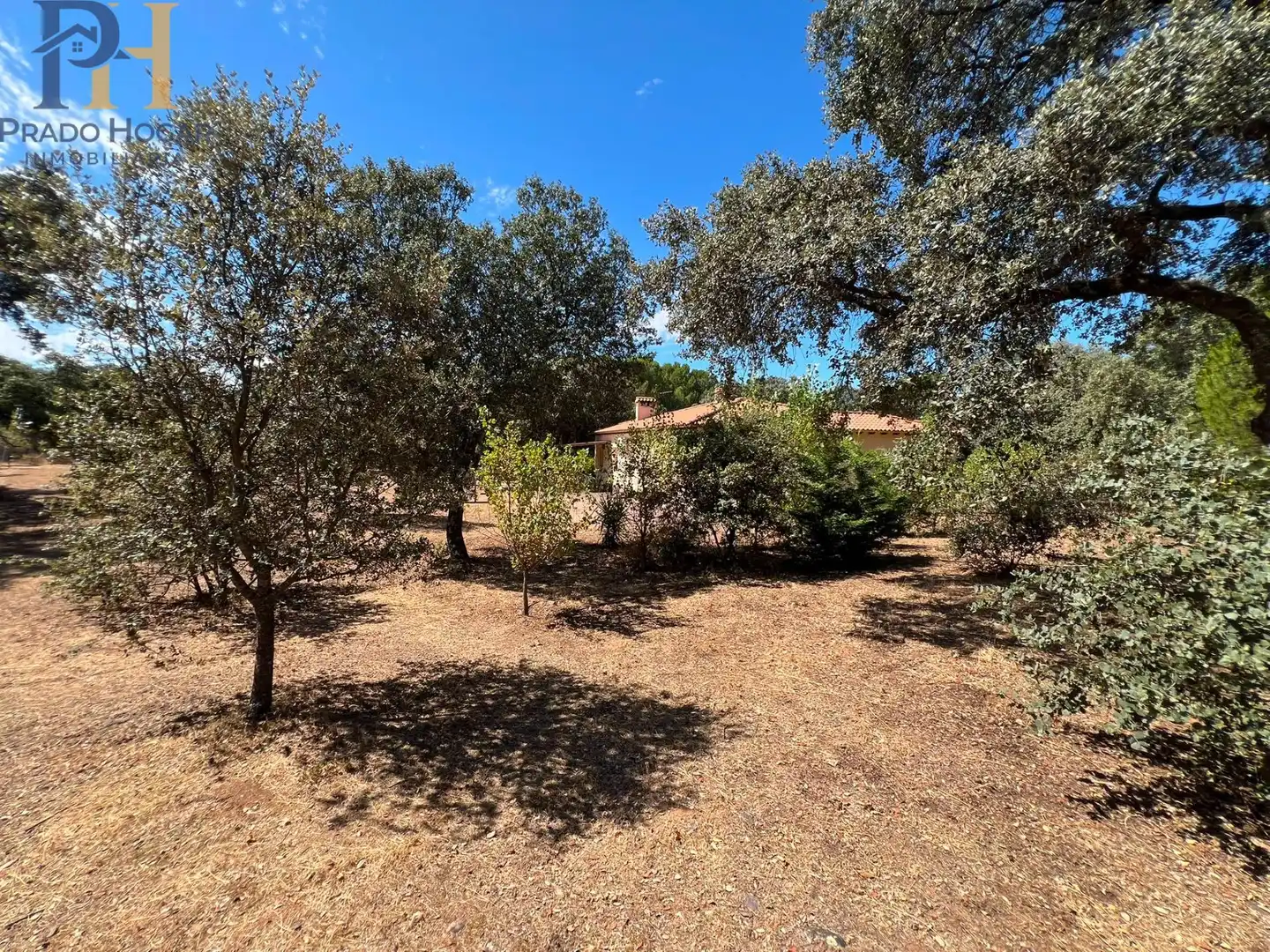 Villa mit Garten zum Verkauf in San Román de los Montes, imagen 56