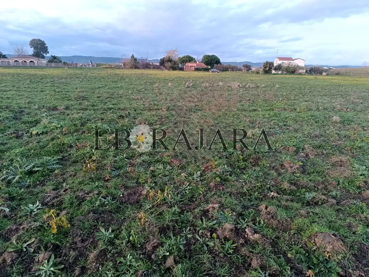 Lands and plots for sale in El Perdigal, imagen 4