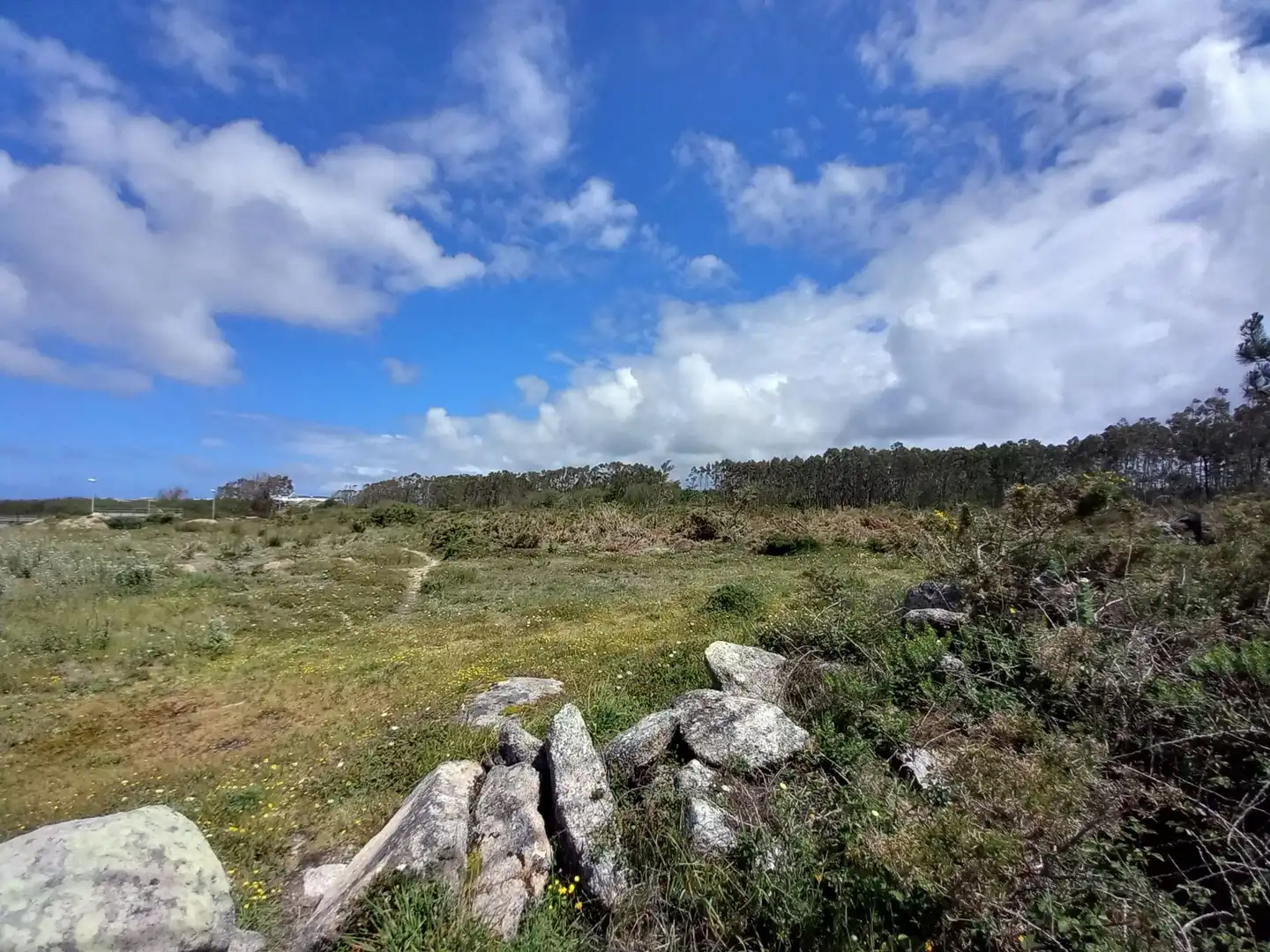 Land for sale in Ribeira