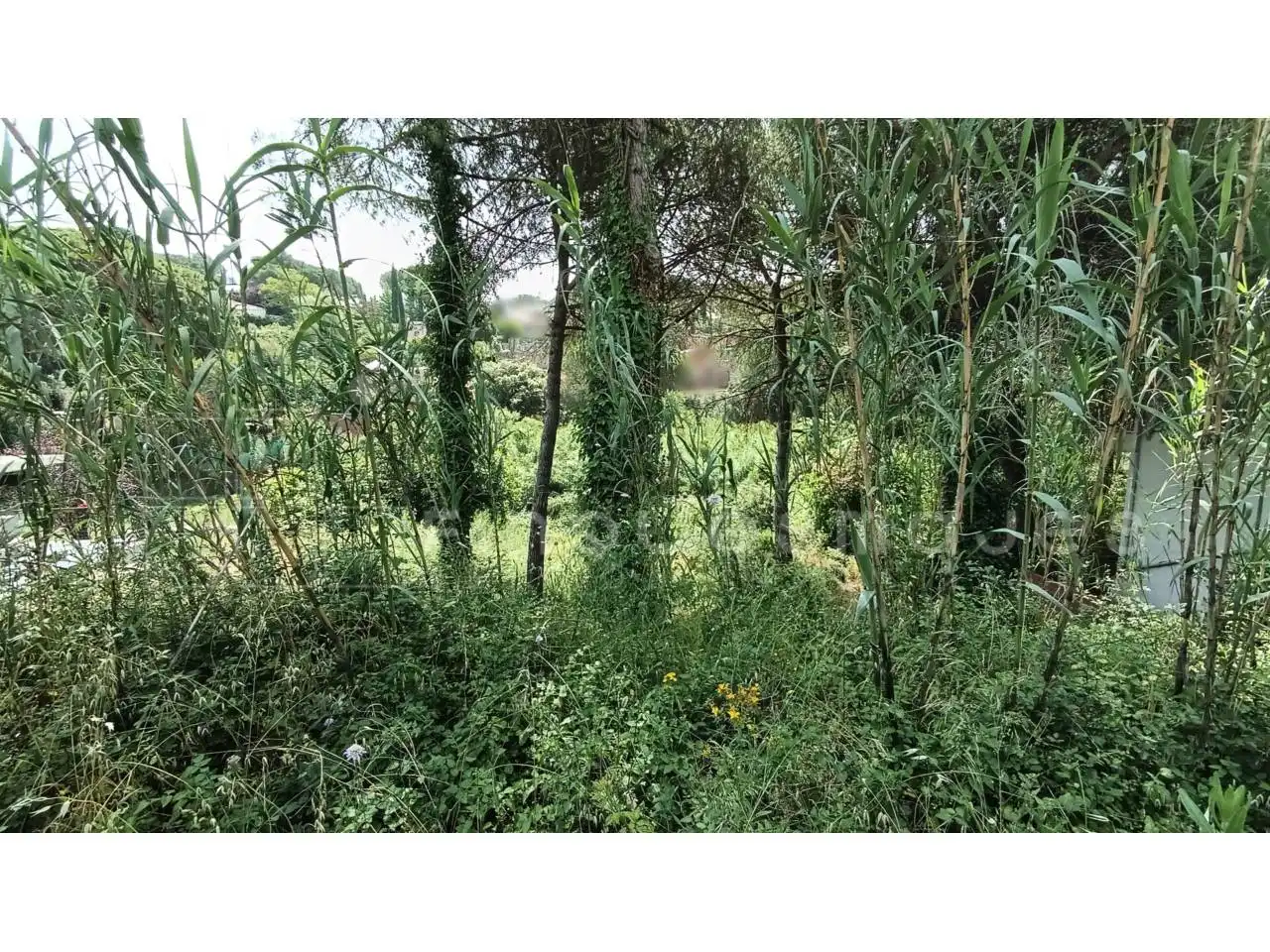 Terreny residencial en venda a Vacarisses, imagen 6