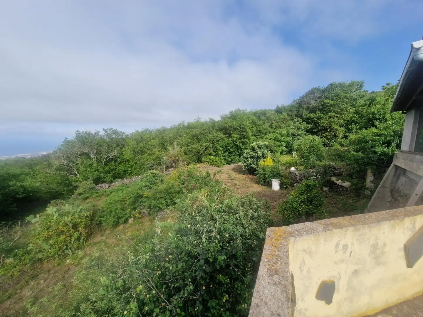 Finca rústica en venta en Icod de los Vinos con Terraza, Trastero y Amueblado