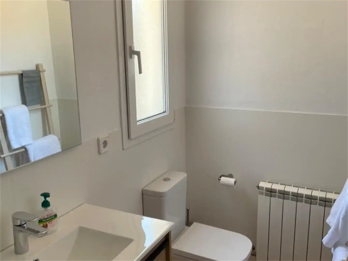 Baño de Casa o chalet en venta en Sant Lluís con Piscina