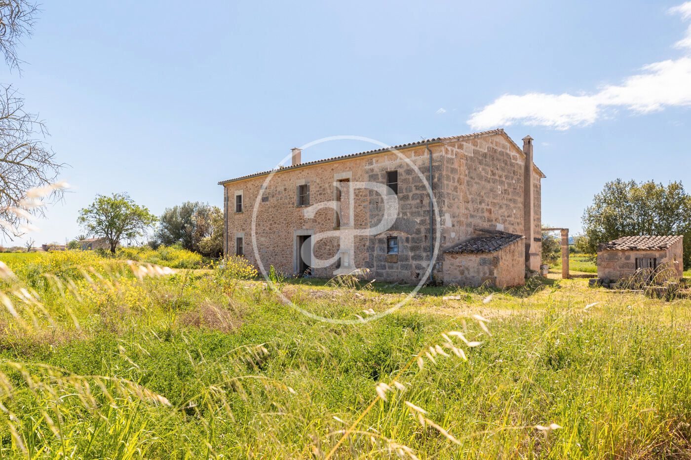 Exterior view of House or chalet for sale in Algaida  with Private garden