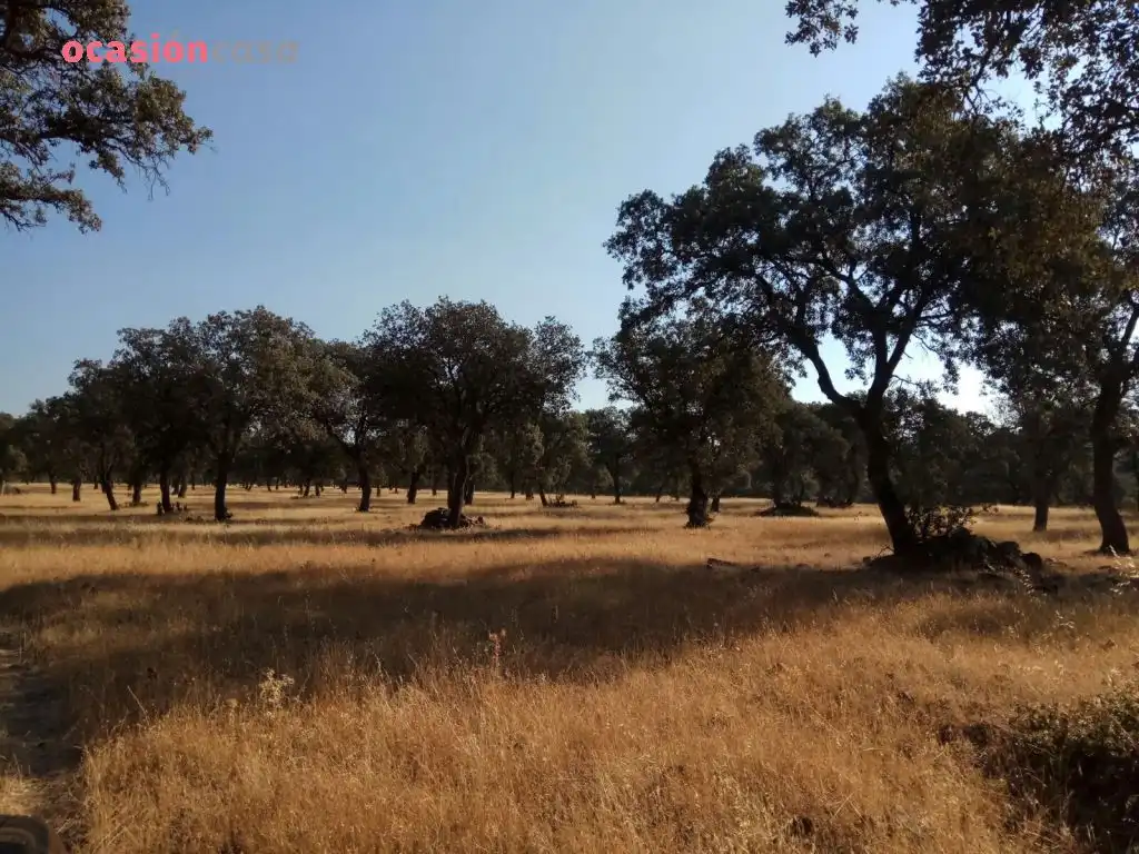 Country homes for sale in Torrecampo