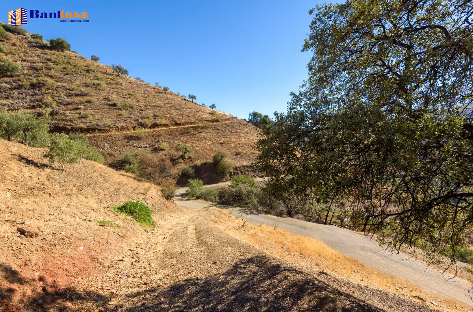 Vista exterior de Finca rústica en venta en Álora con Jardín privado y Trastero
