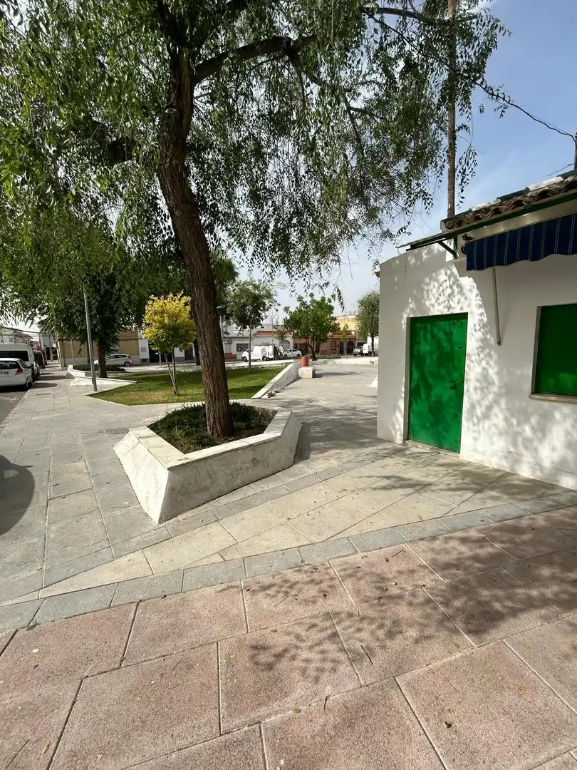 Vista exterior de Casa o chalet en venta en Utrera